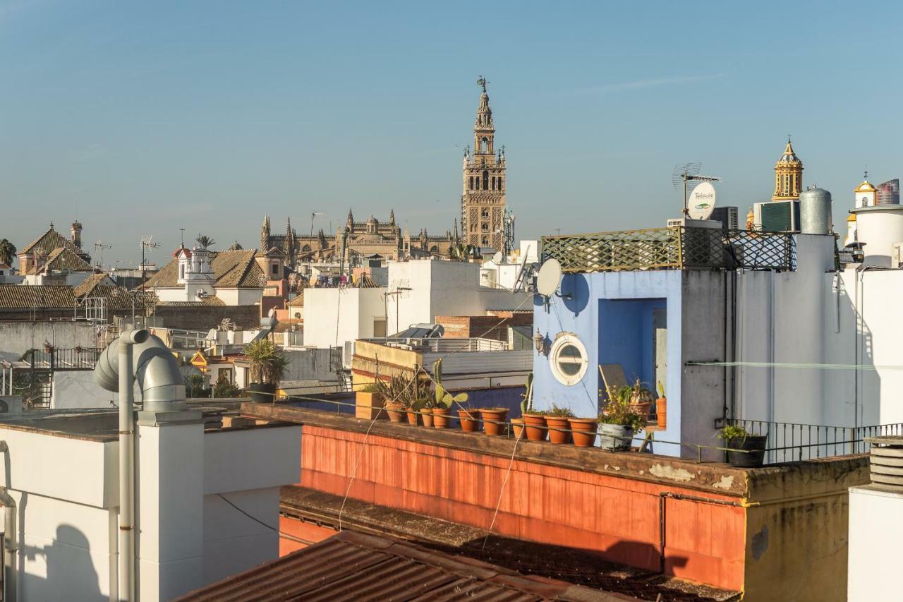 Waou Terrace Santa Cruz Appartement