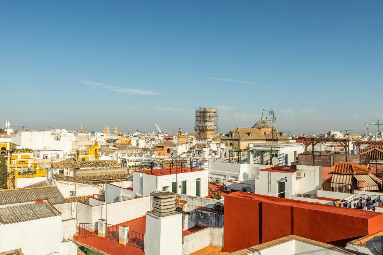 Waou Terrace Santa Cruz Appartement